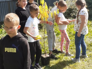 OWOCE PAMIĘCI – raport na koniec sezonu 2021, 